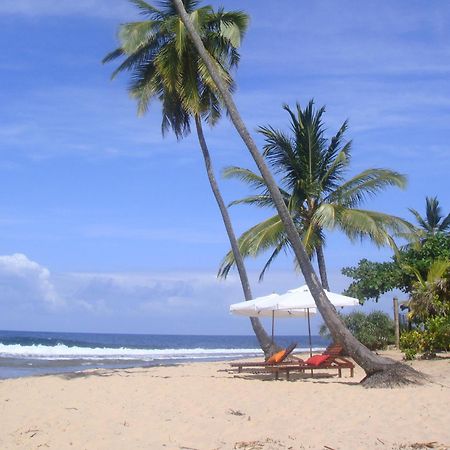 Pousada Tortuga Barra Grande  Eksteriør bilde