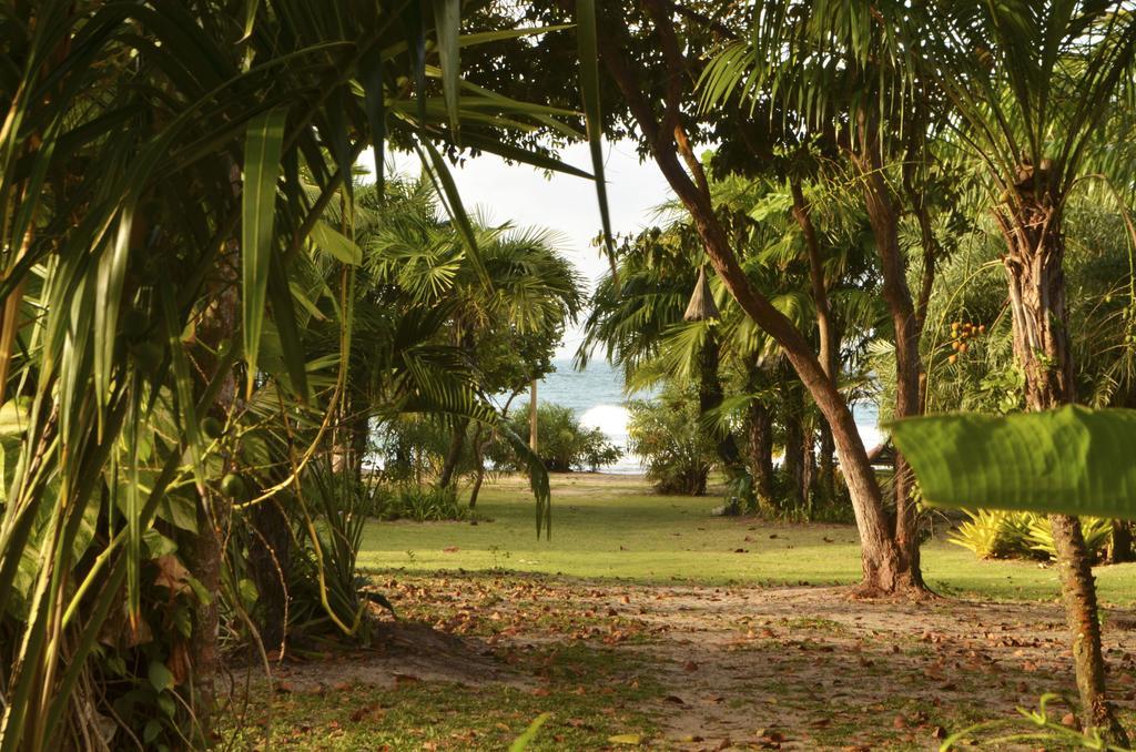 Pousada Tortuga Barra Grande  Eksteriør bilde